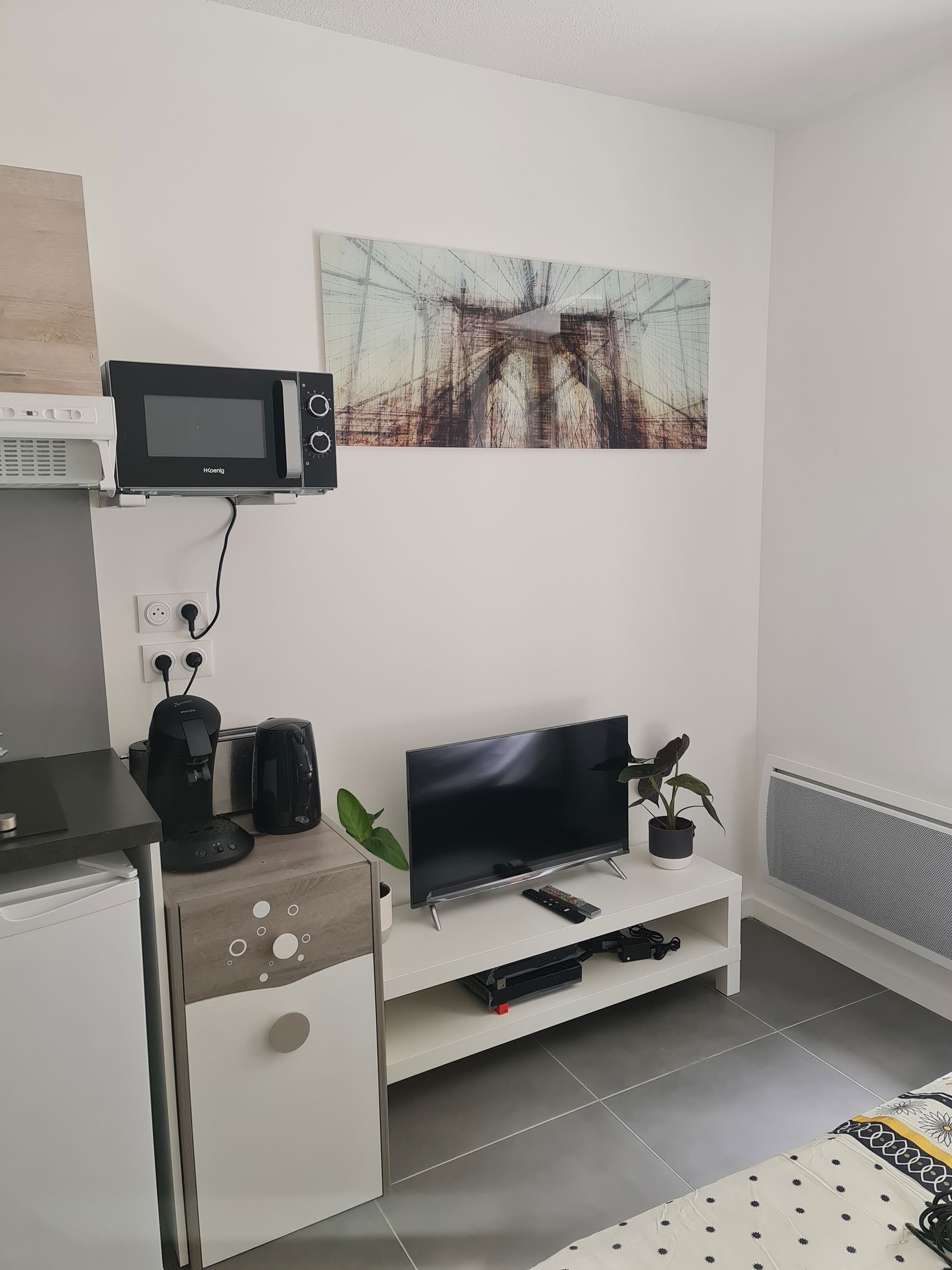 Entire Home Lyon 281423