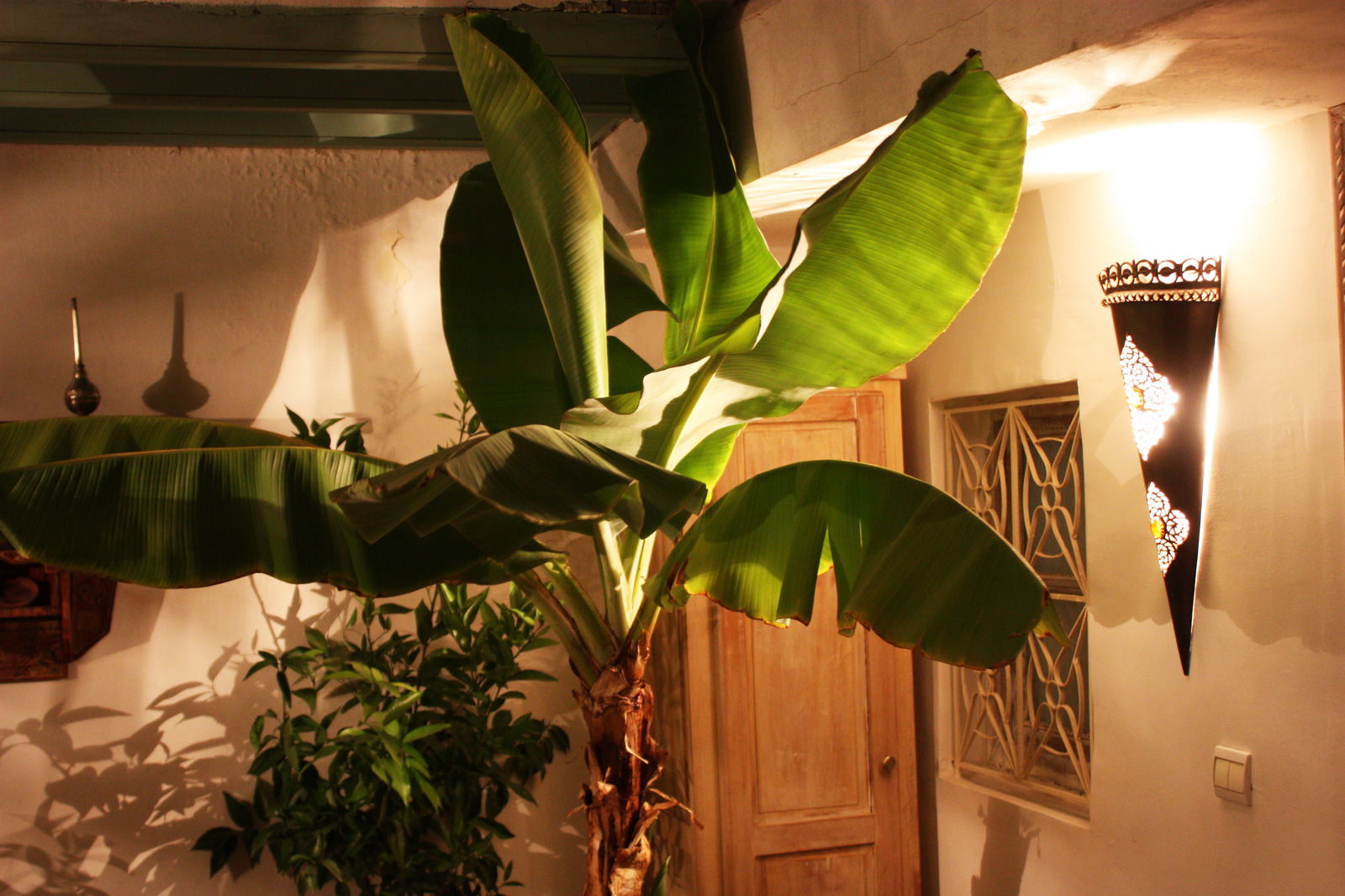 Bed And Breakfast Marrakesh 102503
