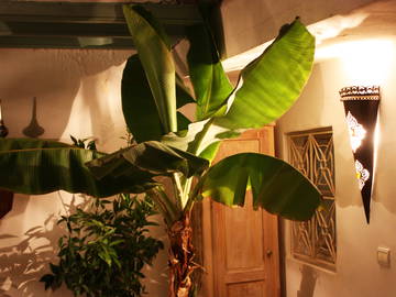 Chambre D'hôte Marrakesh 102503-5