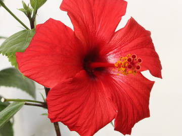 Chambre D'hôte Marrakesh 102503-11