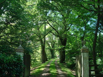 Chambre D'hôte Lacquy 85469-6
