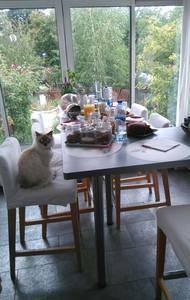 Homestay Vaires-sur-Marne 199989