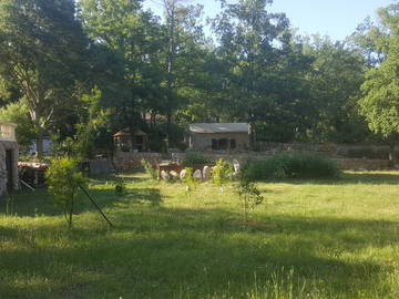 Logement Entier Fayence 40963-10