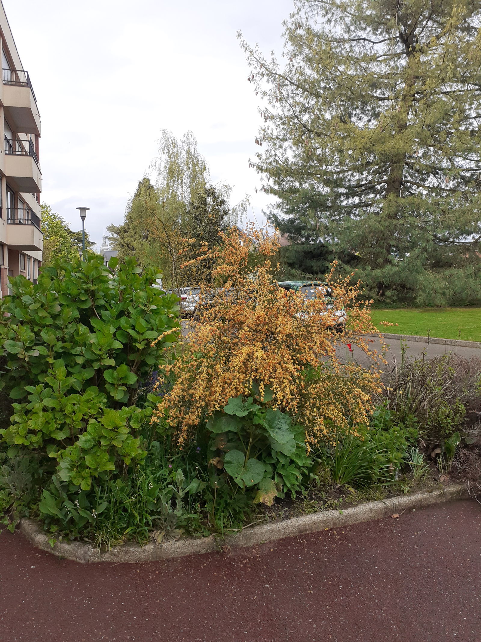 Homestay Bois-Guillaume 637488