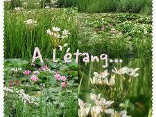 Homestay Chaville 74270-4