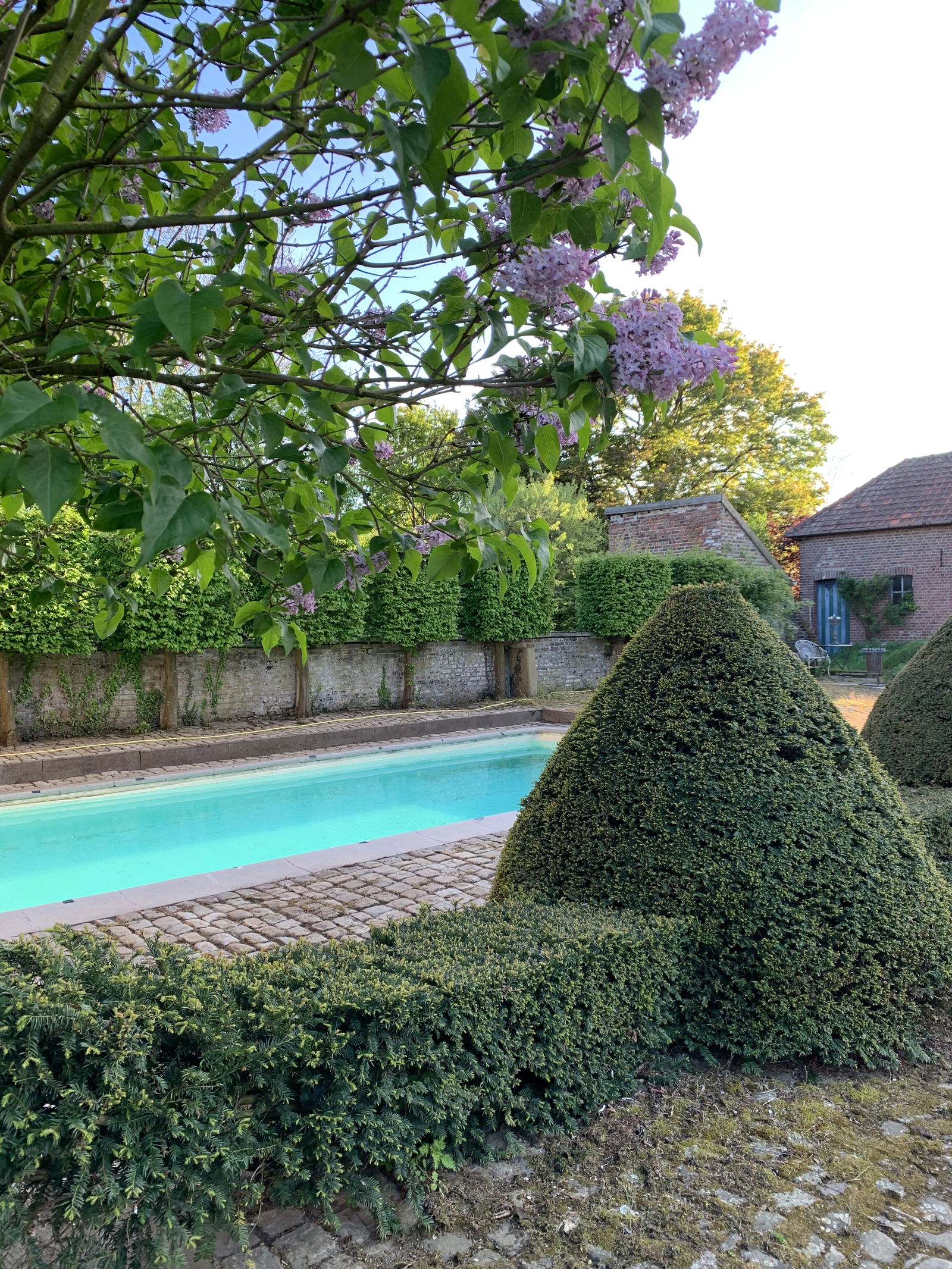 Homestay Juprelle 302882