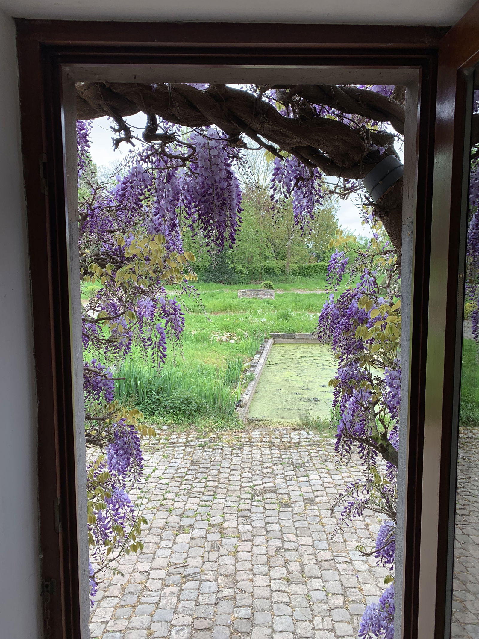 Homestay Juprelle 302882