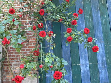 Chambre Chez L'habitant Juprelle 302882-22