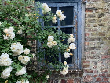 Chambre Chez L'habitant Juprelle 302882-19