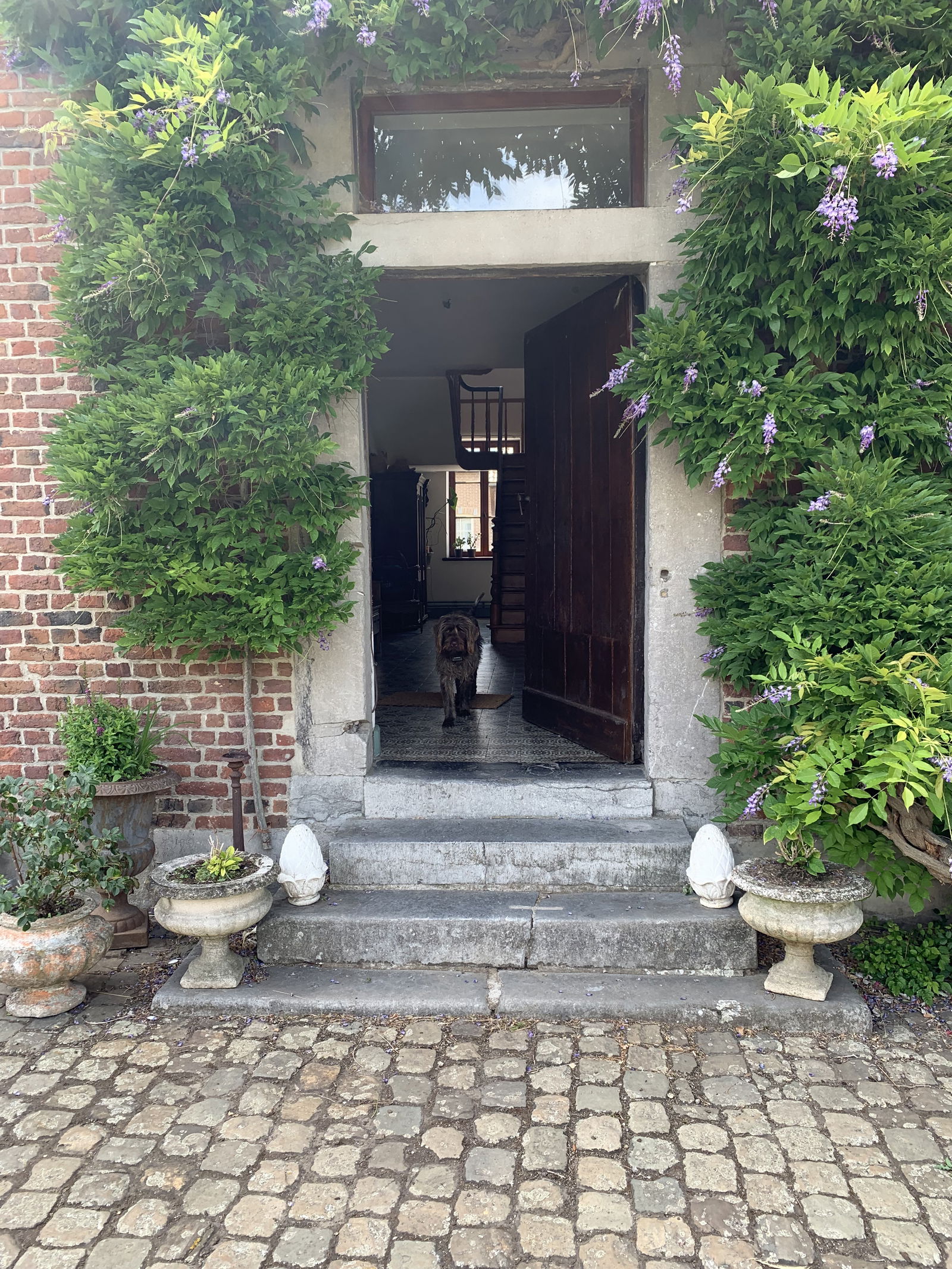 Homestay Juprelle 302882