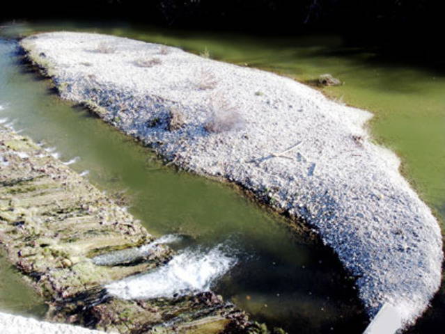 Chambres D'hôtes Sommières 13496-3