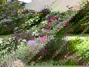 Shared Accommodation Melun 264551-12