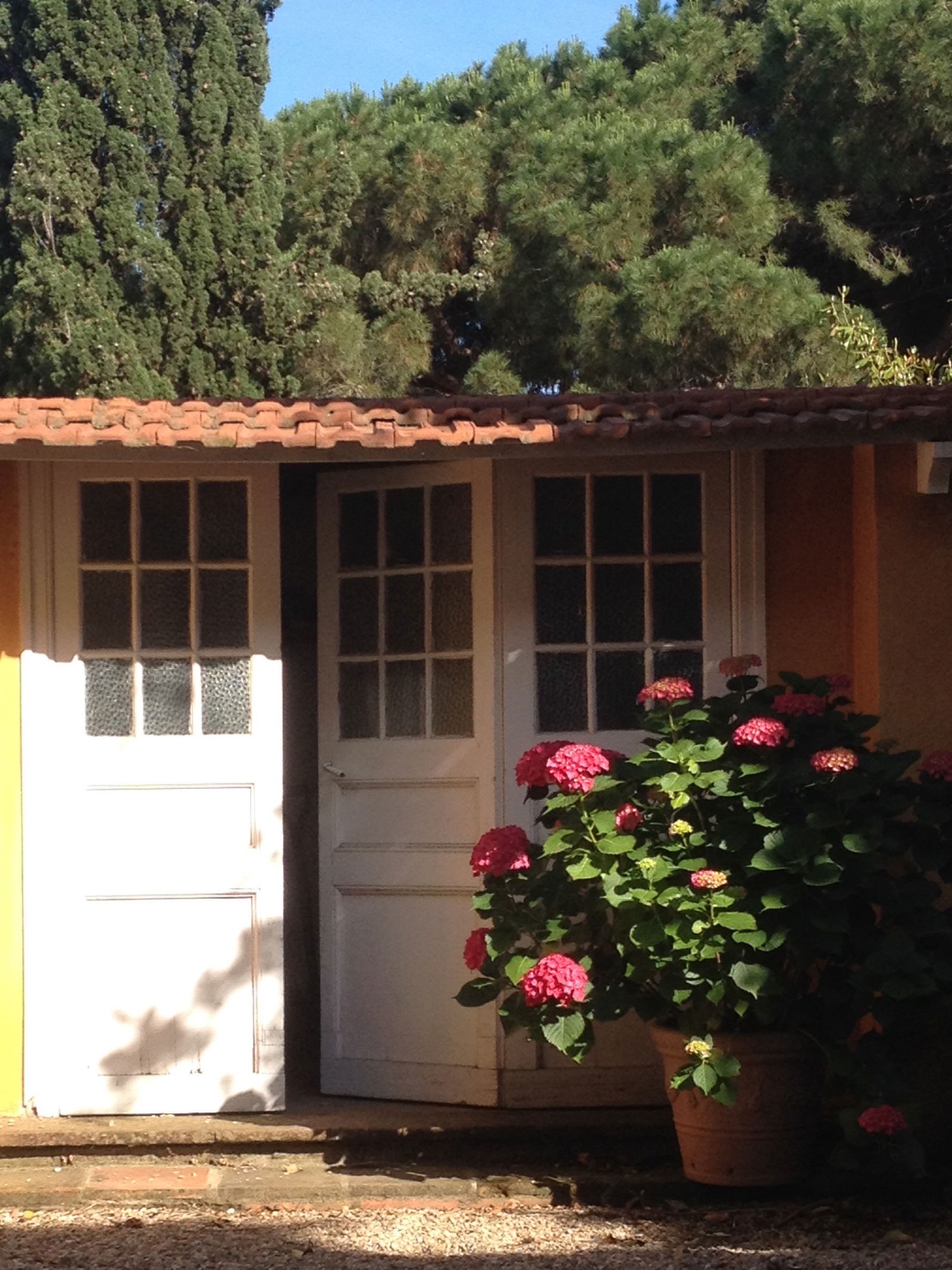 Homestay Barcelona 225920