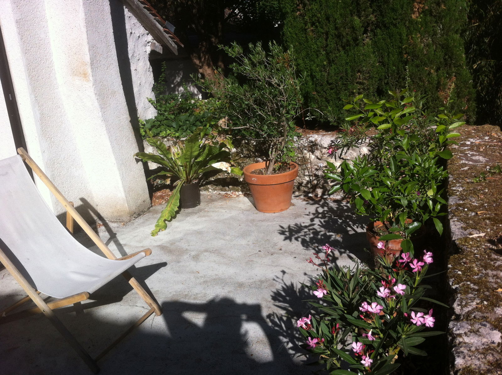 Homestay Suèvres 146219