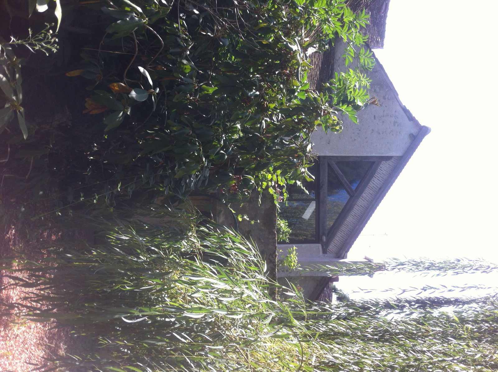 Homestay Suèvres 146219