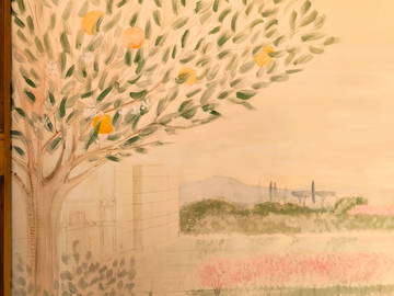 Coliving Roma 498924-11