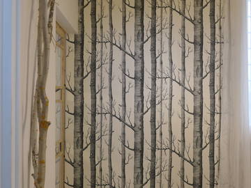 Coliving Roma 498924-13