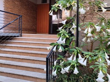 Coliving Roma 498924-20