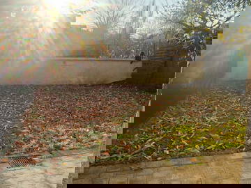 Logement Entier Bois-Le-Roi 452420-4