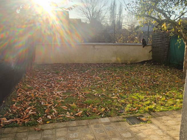 Logement Entier Bois-le-Roi 452420-4