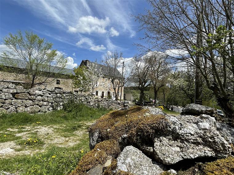 Chambre À Louer Grandrieu 266652