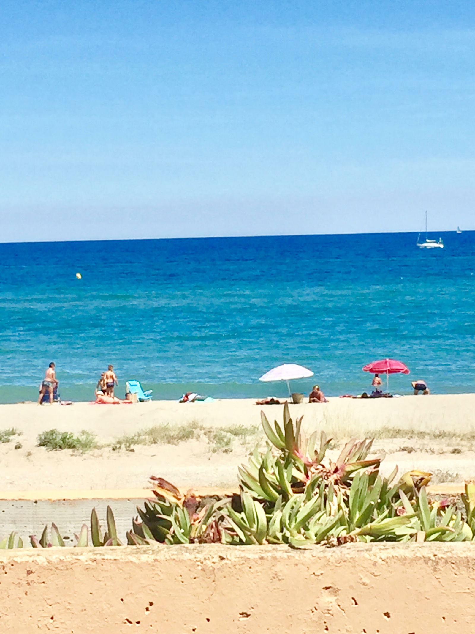 Independent Studio Le Barcarès 128438