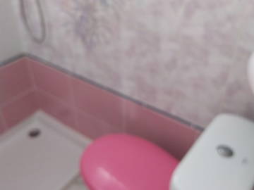 Logement Entier Saint-Joseph 252540-10