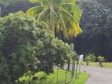 Logement Entier Saint-Joseph 252543-7