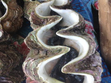 Chambre Chez L'habitant Nosy-Be 222627-5