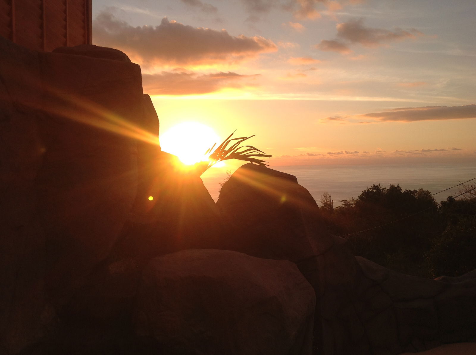 Homestay Saint-Leu 245909