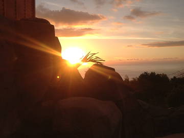 Chambre Chez L'habitant Saint-Leu 245909-7