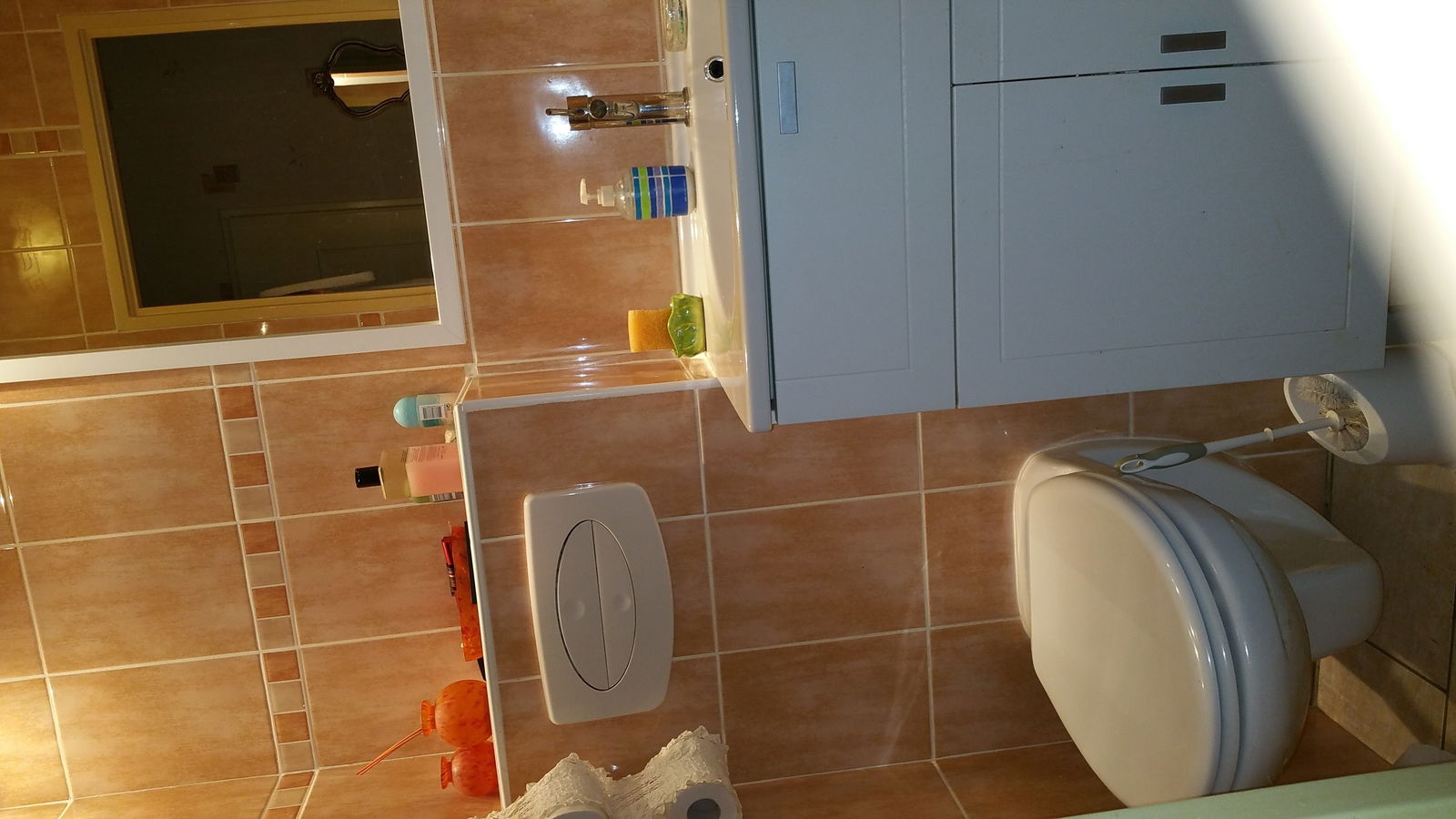 Chambre Chez L'habitant Chassieu 124522