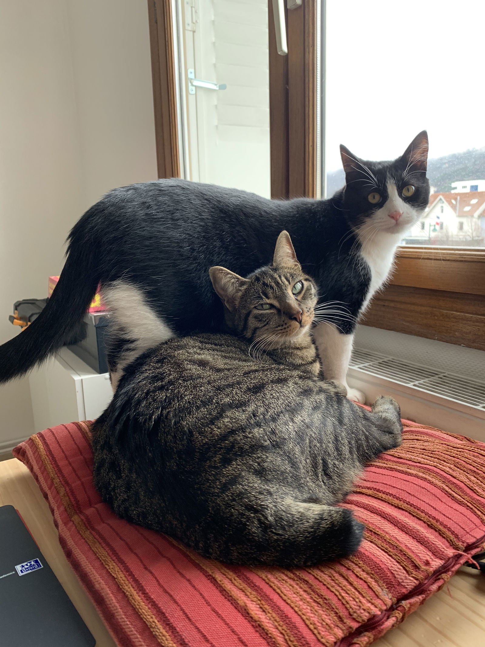 Gastfamilie Seyssinet-Pariset 256161