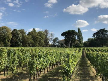 Logement Entier Génissac 236114-10