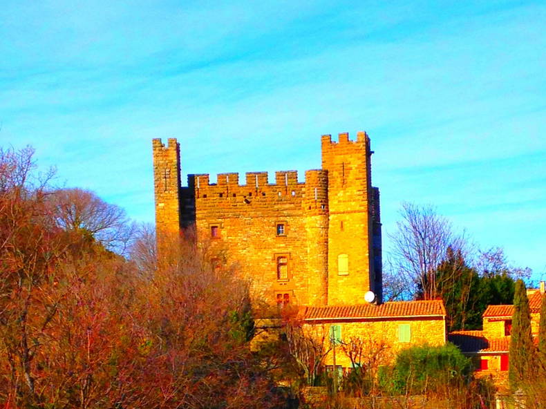 Ganzes Haus Castelnau-Valence 204570-1