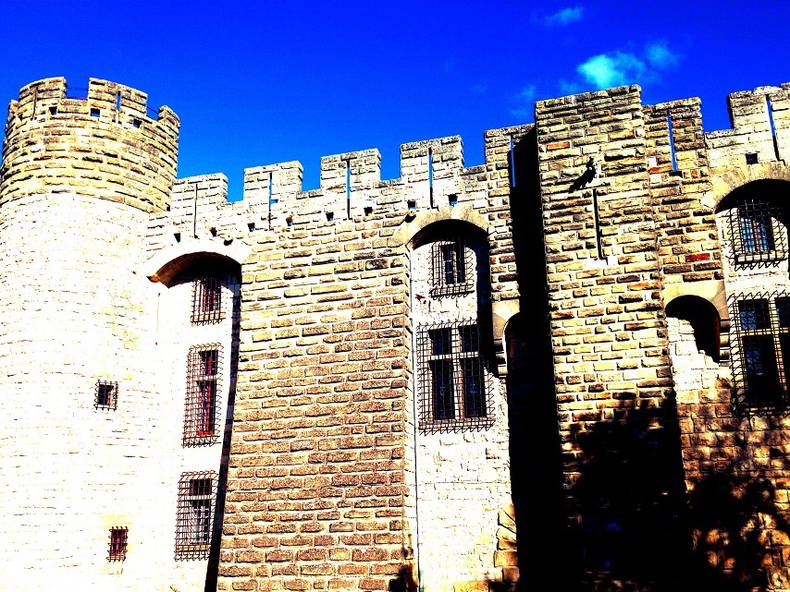 Ganzes Haus Castelnau-Valence 204570-3