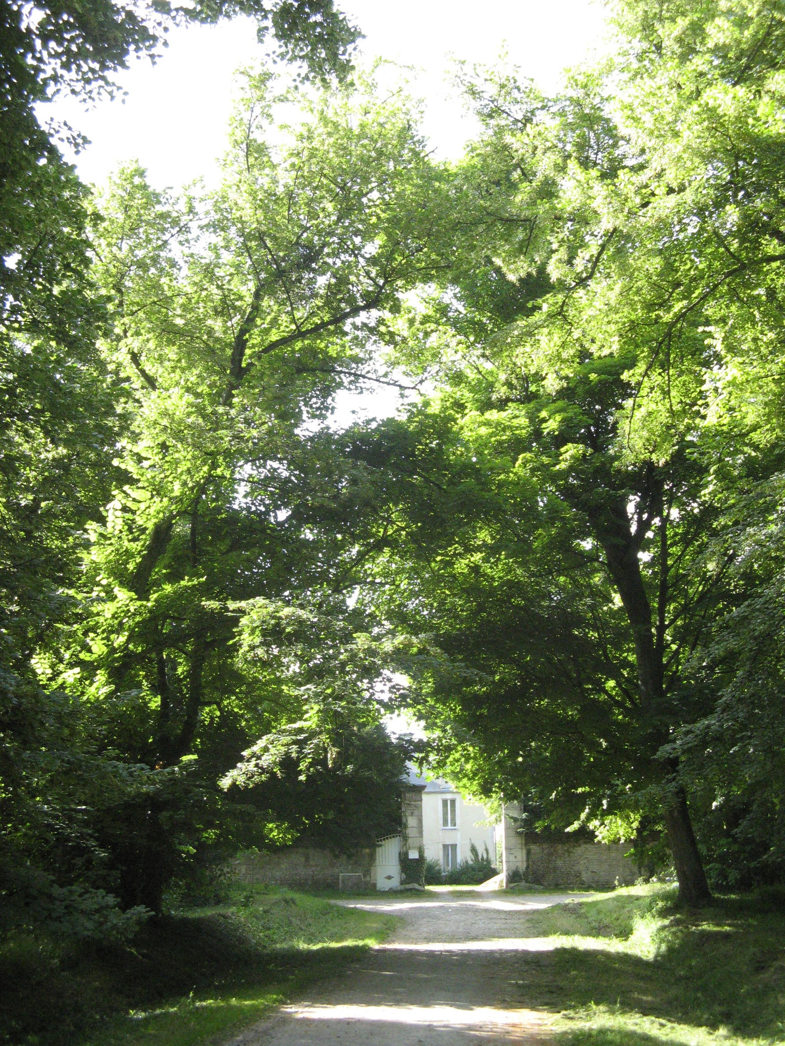 Chambres D'hôtes Maizières 86886