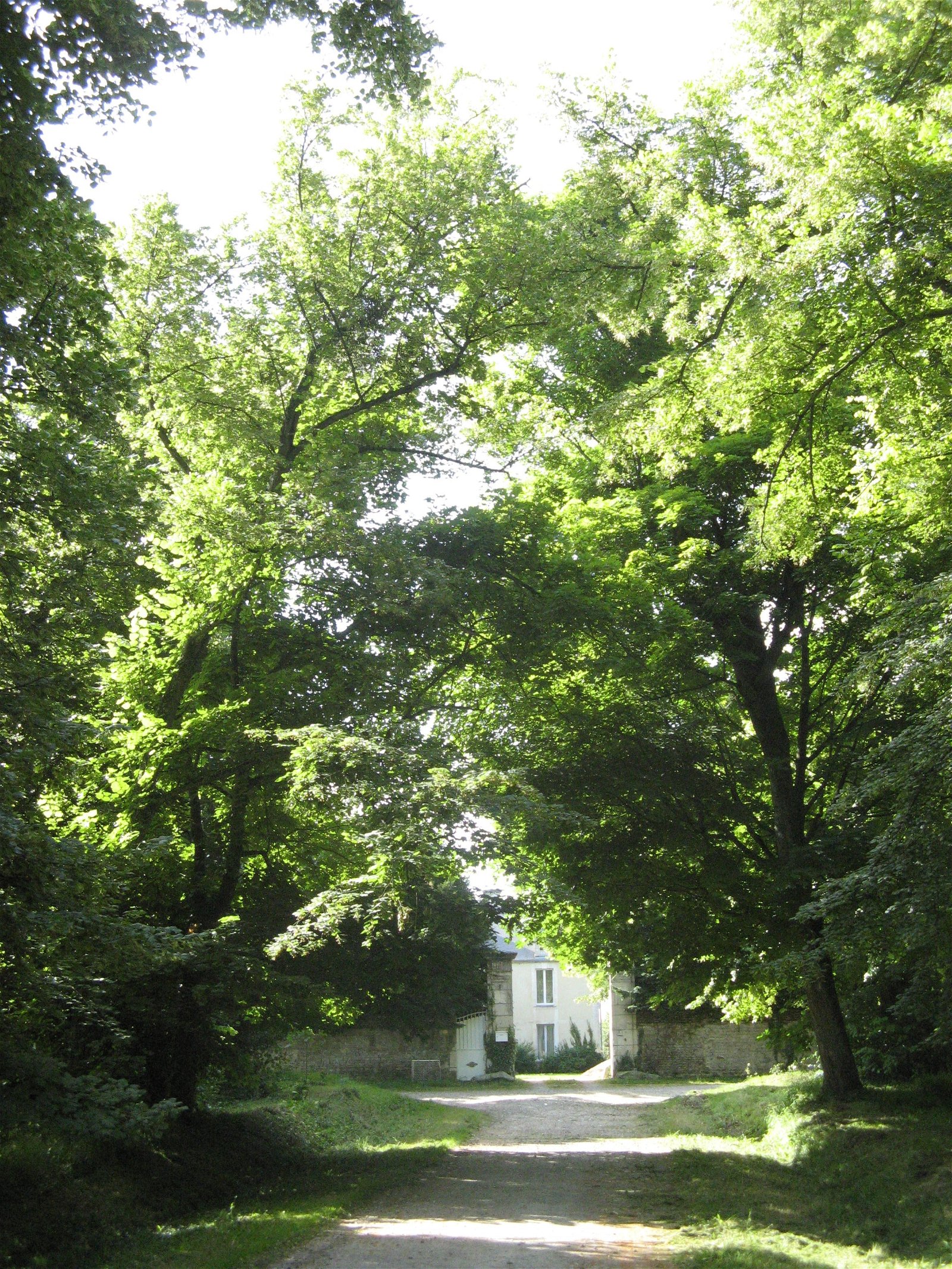 Gästrum Maizières 86886