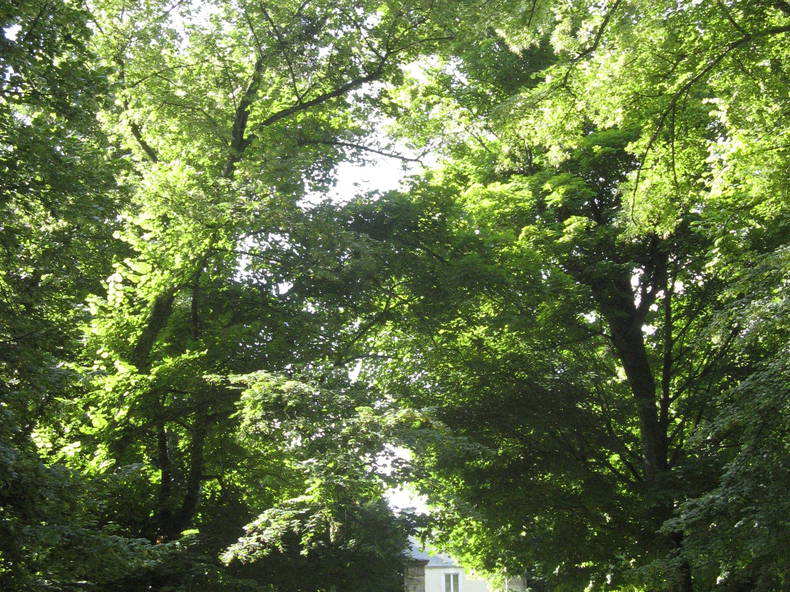 Chambres D'hôtes Maizières 86886-5