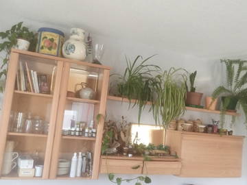 Gästezimmer à louer à Ciboure-10