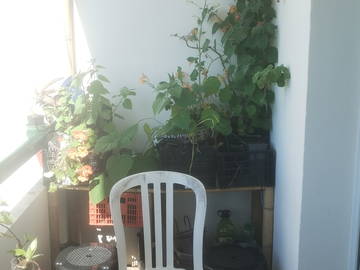 Gästezimmer à louer à Ciboure-4