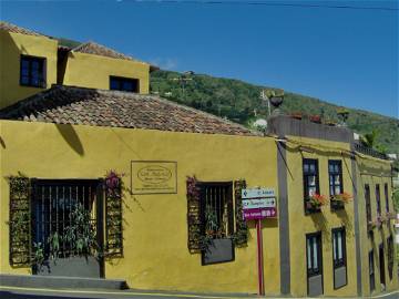 Habitación En Alquiler Icod De Los Vinos 243011-1