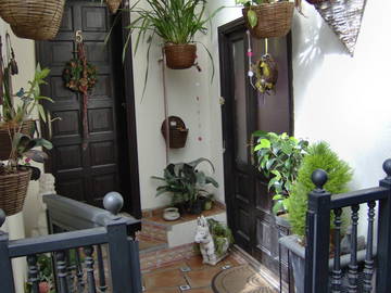 Logement Entier Icod De Los Vinos 243011-8