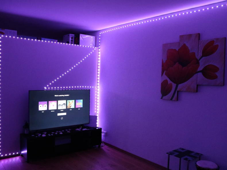 Kolokasie Broc 260957-1