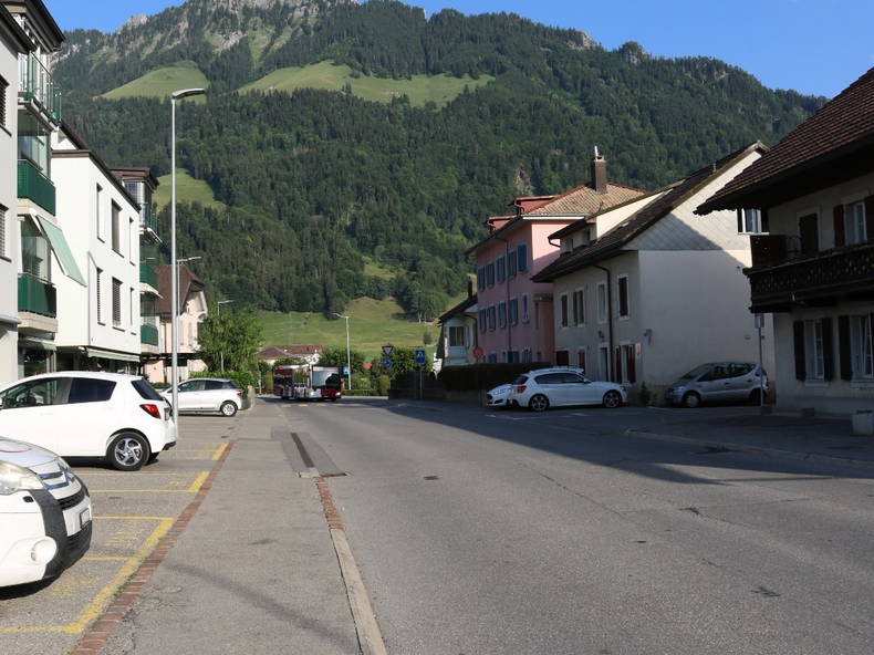 Kolokasie Broc 260957-4