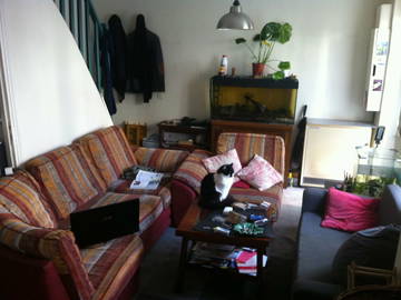 Room For Rent Alfortville 126497