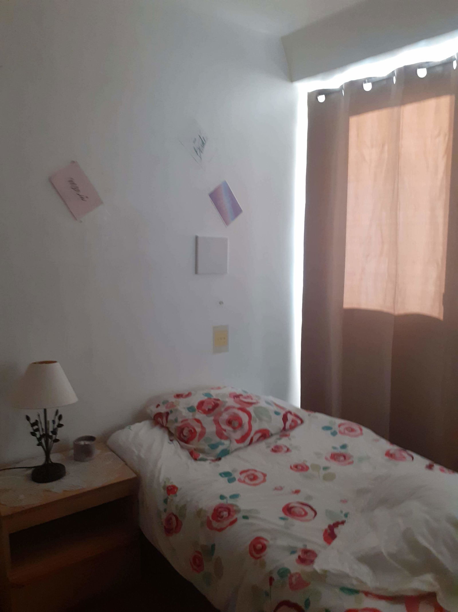Colocation Massy 252083