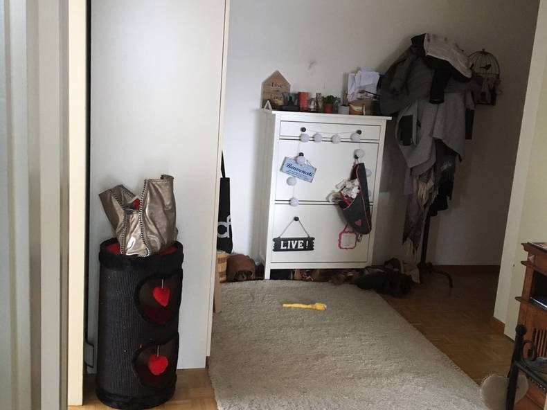 Colocation Thônex 155272-3