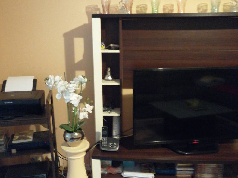 Kolokasie Colmar 250031-3