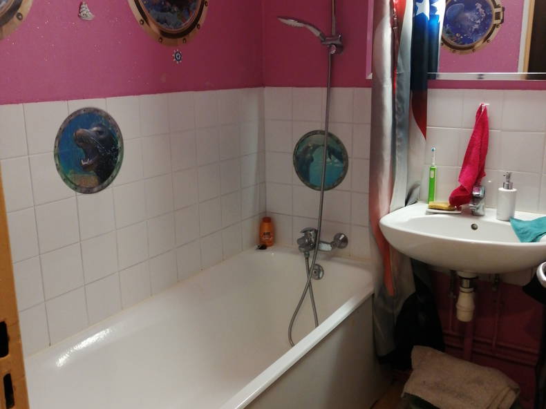 Kolokasie Colmar 250031-5